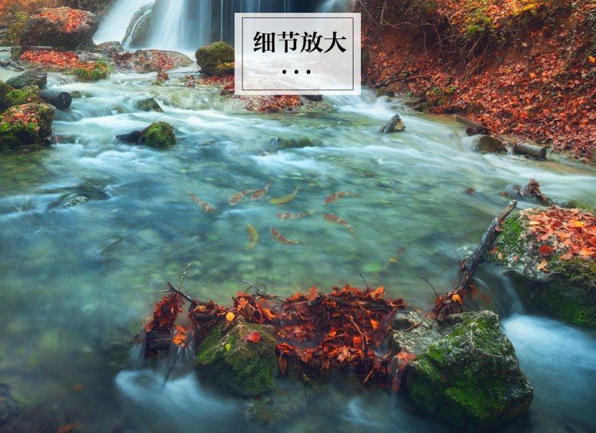探究新加坡无犯罪记录海牙认证流程